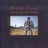 Disco de Pink Floyd: “Delicate Sound of Thunder” Disco de Pink Floyd: “Delicate Sound of Thunder”