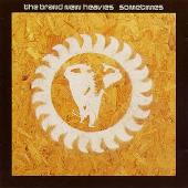 The Brand New Heavies Album: “Sometimes”