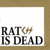 CSS Album: “Rat Is Dead”