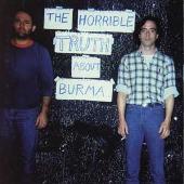 Disco de Mission of Burma: “Horrible Truth About Burma”