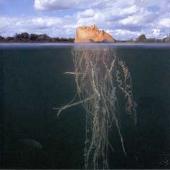 The Mars Volta Album: “De-Loused in the Comatorium”