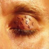 Disco de The Mars Volta: “Intertiatic ESP”