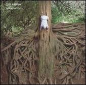 The Mars Volta Album: “Widow”