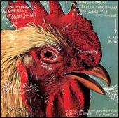 Pavement Album: “Watery, Domestic”