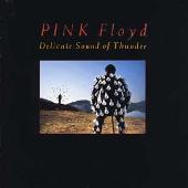 Disco de Pink Floyd: “Delicate Sound of Thunder”