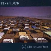Disco de Pink Floyd: “Momentary Lapse of Reason”