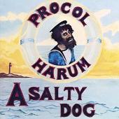 Procol Harum Album: “Salty Dog”