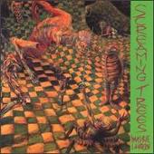 Screaming Trees Album: “Invisible Lantern”