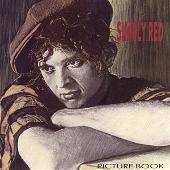 Simply Red Album: “Picture Book”