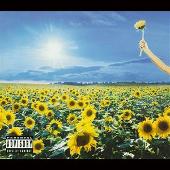 Stone Temple Pilots Album: “Thank You [CD & DVD]”