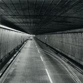 Tortoise Album: “Lazarus Taxon”