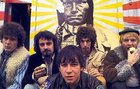 The Animals