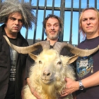 Melvins