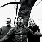 Modest Mouse