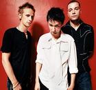 Muse