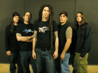 Shadows Fall