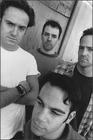 The Wrens